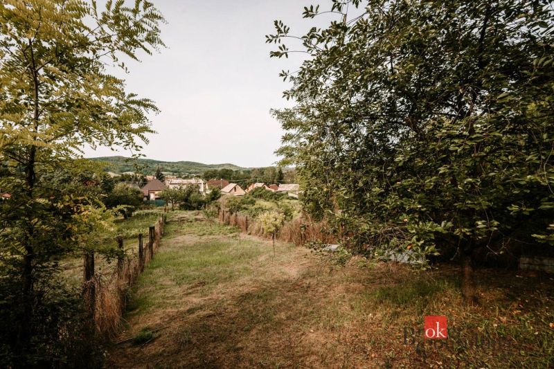 Garden and view of family houses surrounded by greenery in Radzovce.