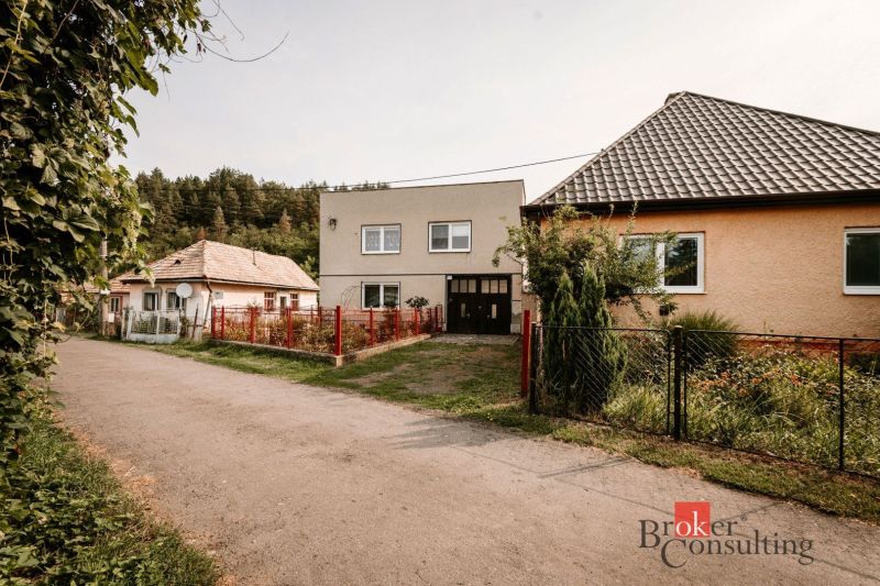 A family house in Radzovce, by a road lined with greenery and other houses.