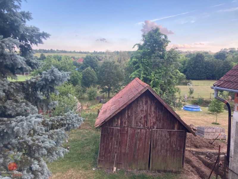A garden view in the village of Volkovce with a wooden shed and trees.