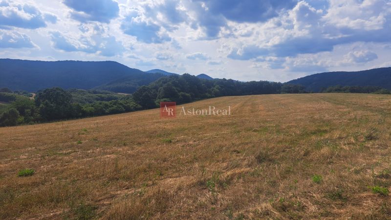 A country with grassy plots for living in Ostrá Lúka, surrounded by forests and mountains.