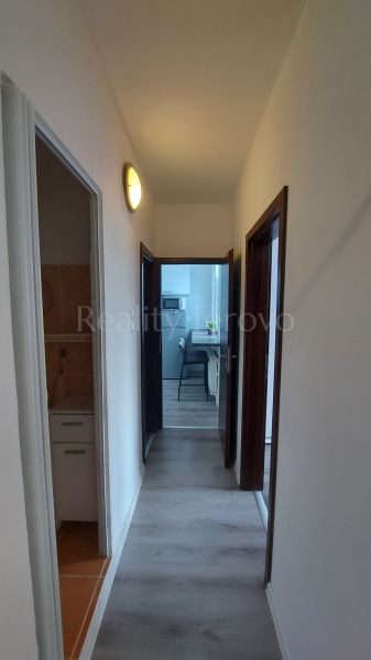 A narrow hallway in a 2-room apartment with entrances to the kitchen and bathroom.