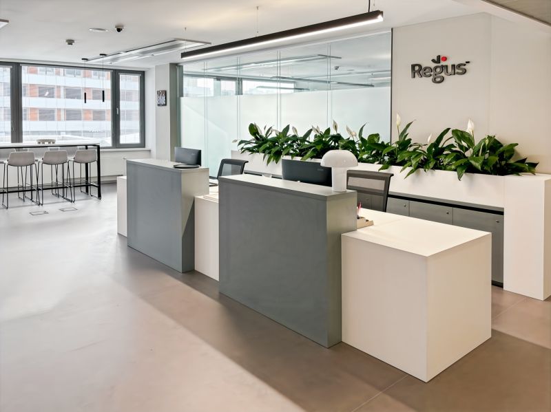 Reception in an office with green plants and large windows provides a pleasant atmosphere.