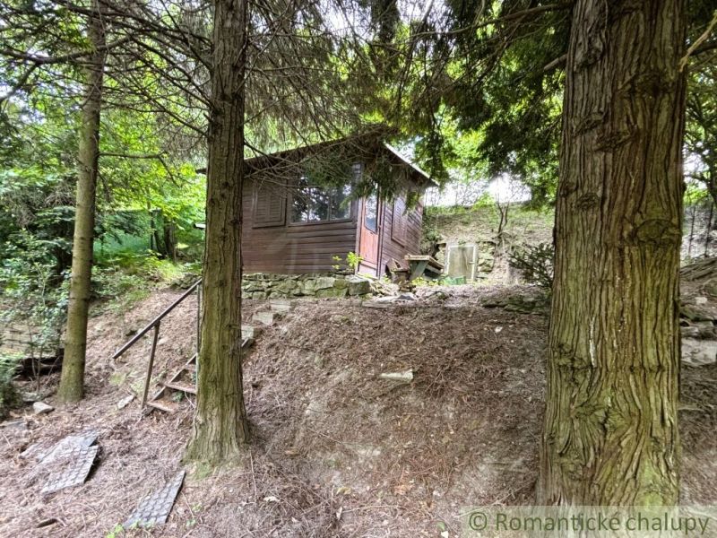 A wooden cabin in the forest on a slope in Bratislava IV, surrounded by green trees.