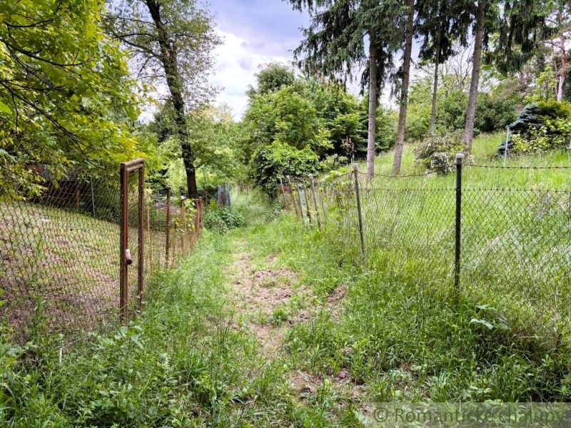 A forest path between fences and trees in Bratislava IV, leading to a cottage.