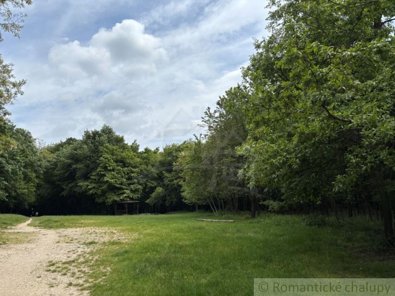 A forest path leading through a grassy clearing in Bratislava IV near a cottage.