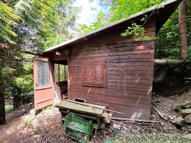 A wooden cabin in Bratislava IV surrounded by forest, with open doors and greenery.