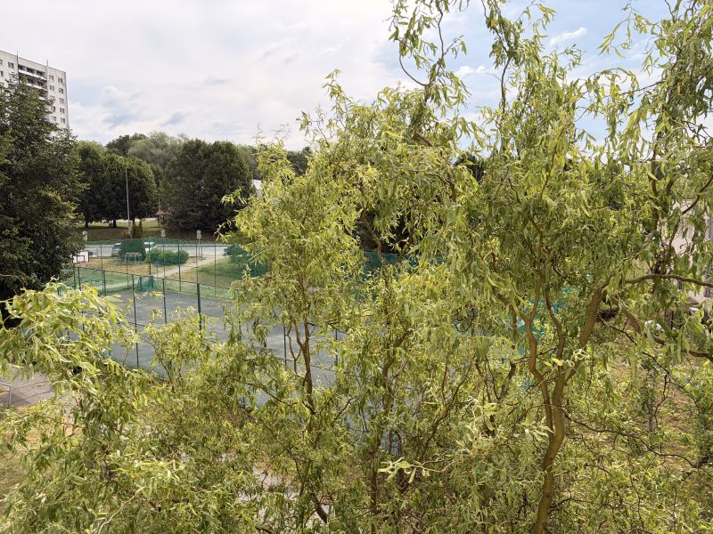 The tennis courts on Starohorská Street in Banská Bystrica are lined with trees and tall buildings.