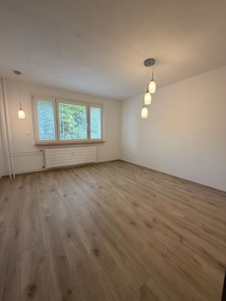 An empty room with a wooden decor floor and pendant lights in a 2-room apartment.