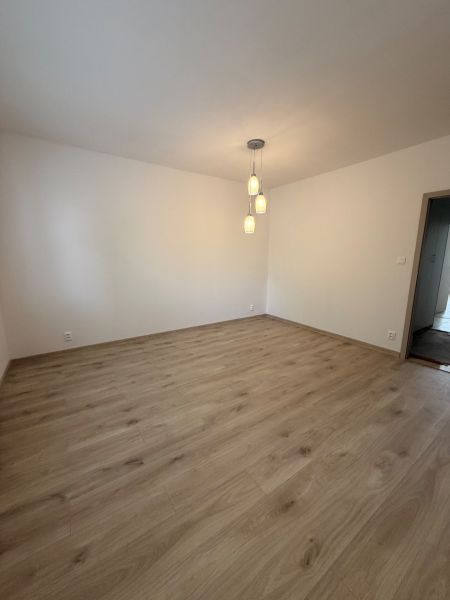 A room in a 2-room apartment with a wooden decor floor and pendant lighting.