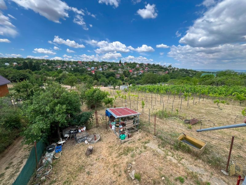 The view from the cottage in Skalica of the vineyards and surrounding nature under the blue sky.