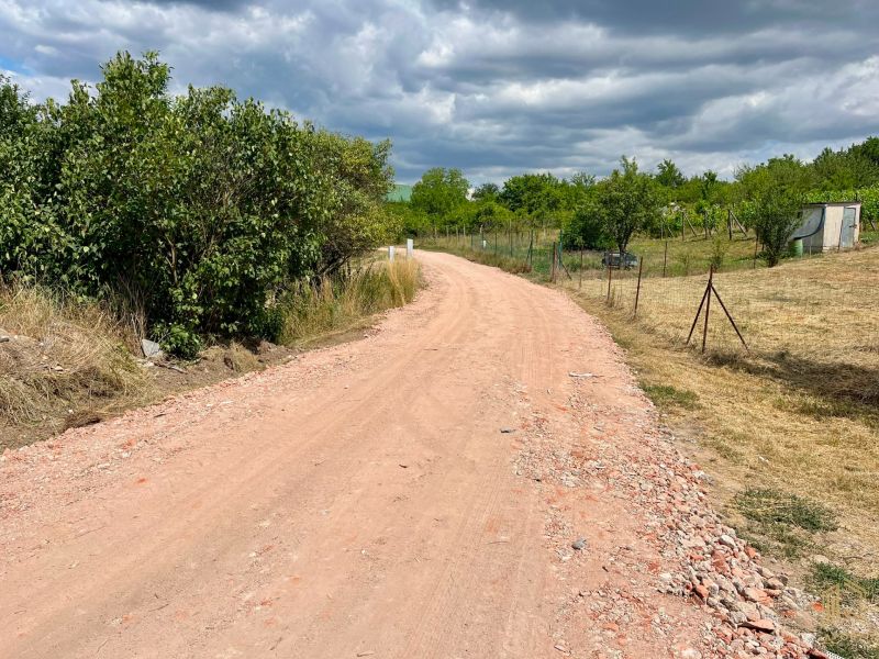 A dirt road in Skalica surrounded by greenery and wooden fencing on the edge.