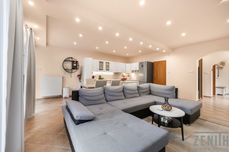 Bright living room with kitchen and large gray sofa in a family house.