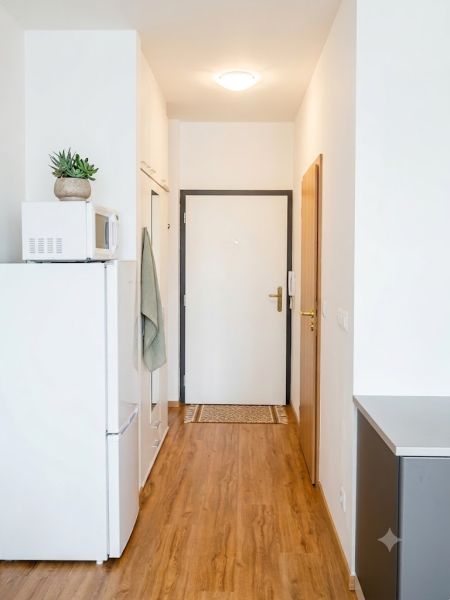 Cozy studio apartment with a hallway, wood-patterned flooring, and white entrance door.