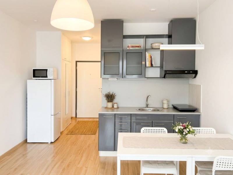 A kitchenette in a studio apartment with a wooden-patterned floor and gray cabinets.