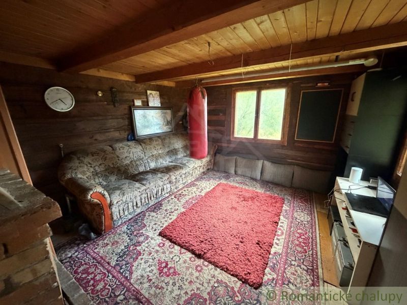 A room in a family house with a sofa, carpet, and punching bag, wooden wall paneling.