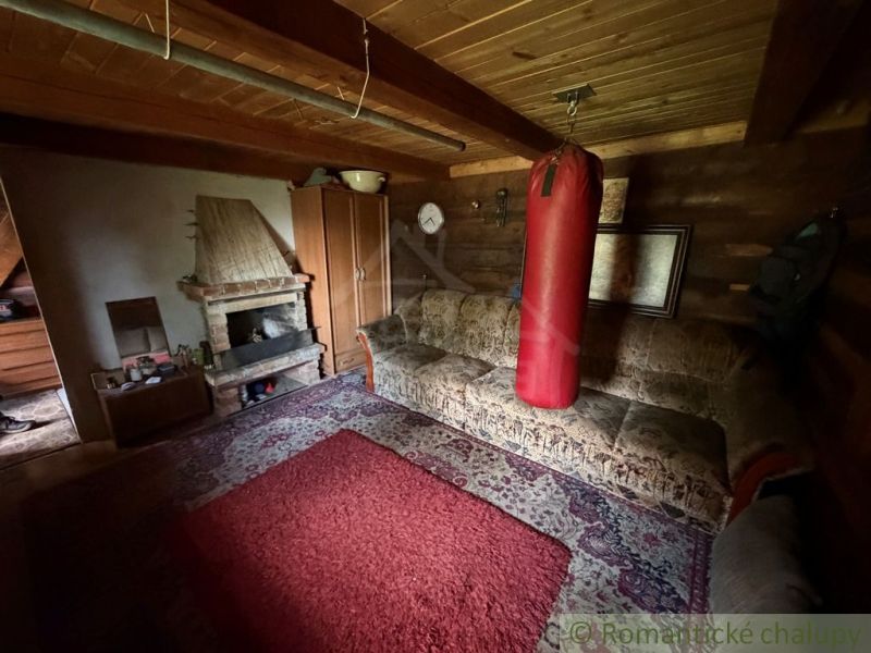 A room in a family house with a fireplace, a sofa, a punching bag, and a carpet on the floor.