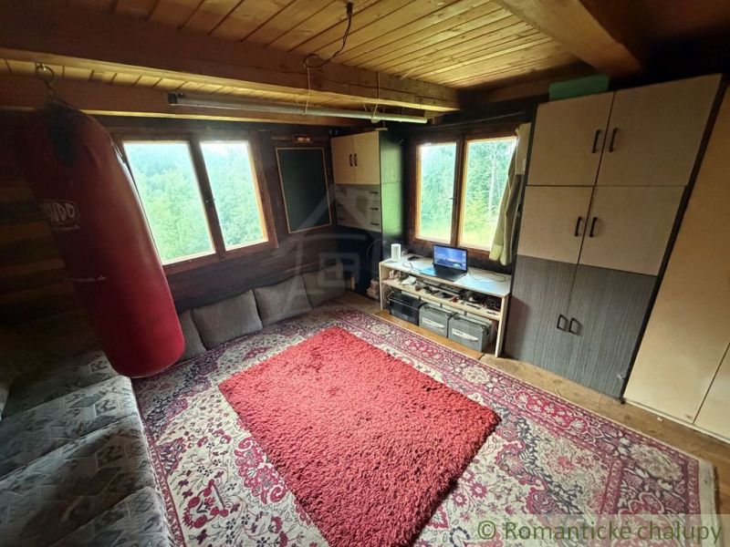 A room in a family house with carpets, a punching bag, and furniture.