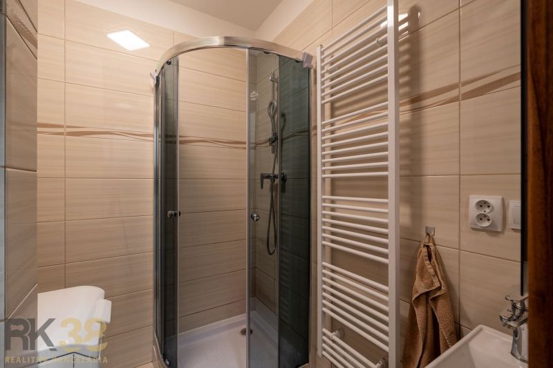 A bathroom with a shower and a ladder radiator in a 2-room apartment.