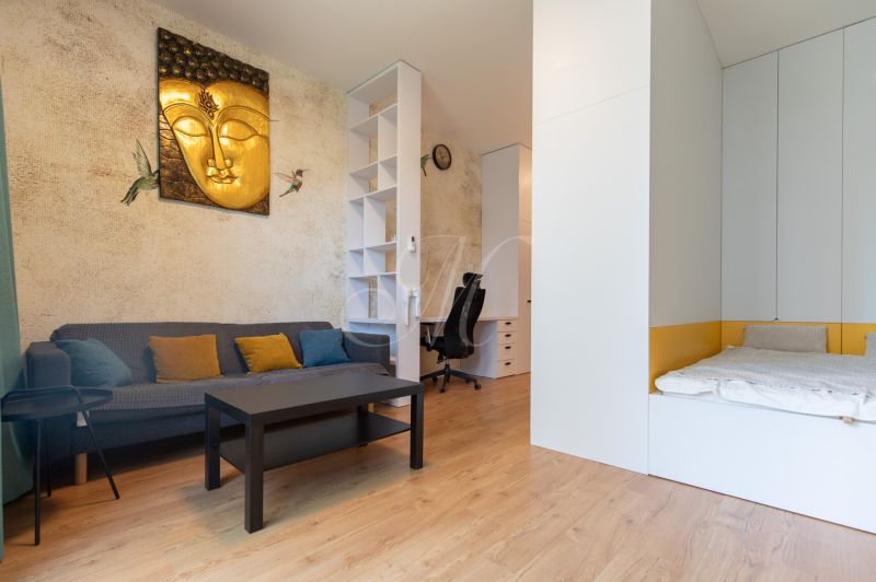 Interior of a 1-room apartment with a wooden decor floor, a sofa, and an art painting.