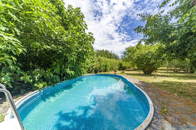 A swimming pool surrounded by greenery in the garden of a family house on Čigérska Street in Dunajská Streda.