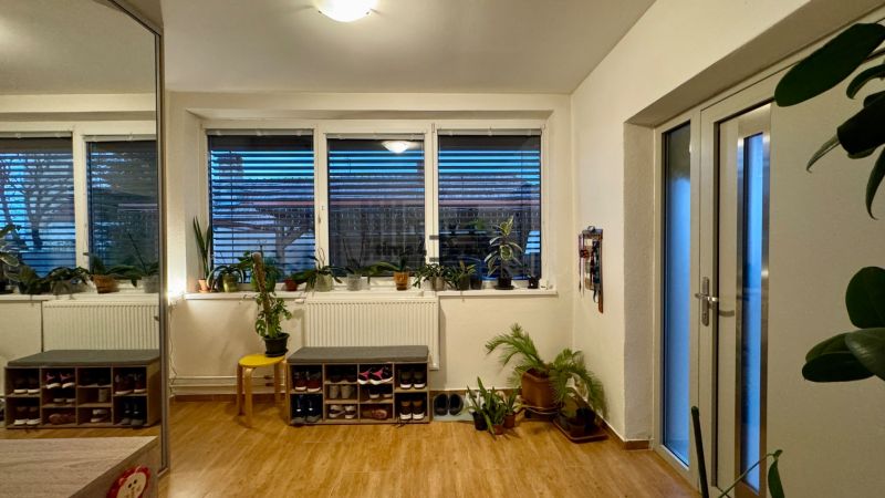 In the interior of a family house with a wooden decor floor, there are plants and storage space for shoes.