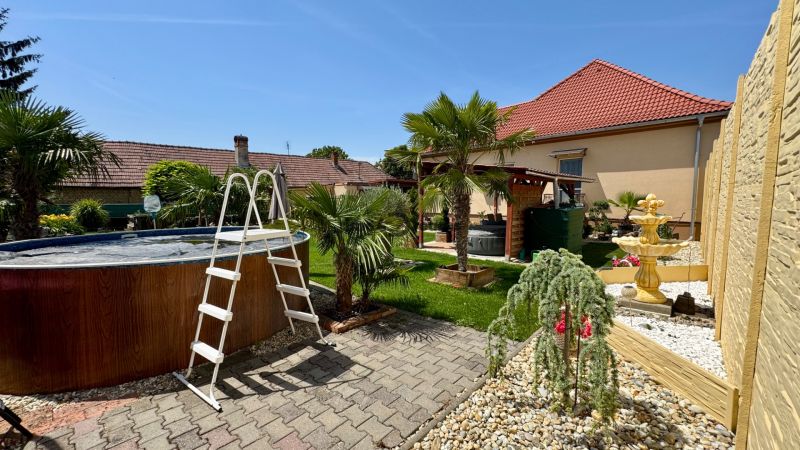 The garden of a family house in Čakajovce with a swimming pool and palm trees in the sun.