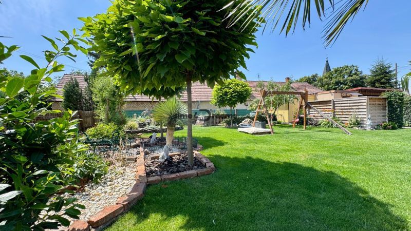 The garden of a family house in Čakajovce with a lawn, flowers, and a children's slide.