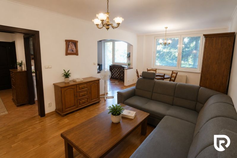 Living room in a two-room apartment with a wooden decor floor and a dark sofa.