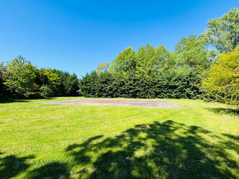 Garden with a lawn area and trees on a residential plot in Limbach on Krátka Street.