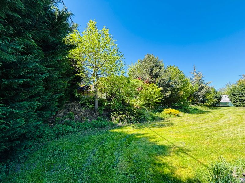 Greenery and grassy area surrounded by trees on a residential plot in Limbach, Krátka.