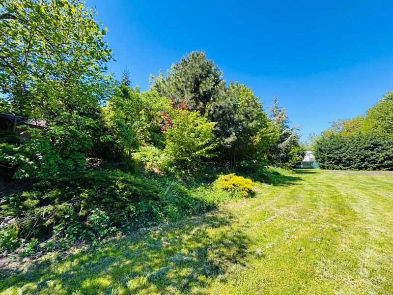 Plots - residential on Krátka Street in Limbach with rich vegetation and lawn.