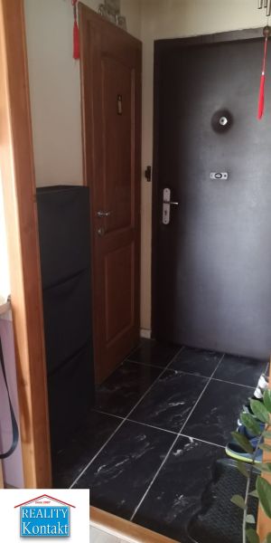 Entrance hallway in a one-room apartment with black tiles, wooden doors, and a plant.