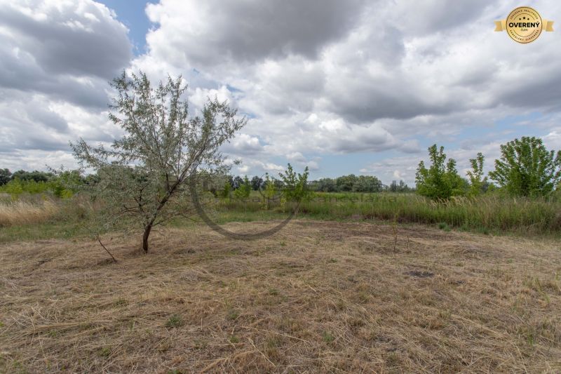 Spacious residential plots in Zohor on Brezová Street, surrounded by nature and trees.