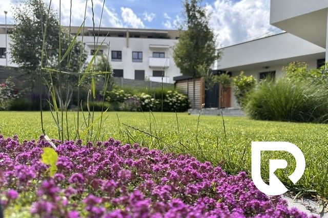 The garden of a family house on Rizlingova Street in Trenčín, blooming flowers and lawn.