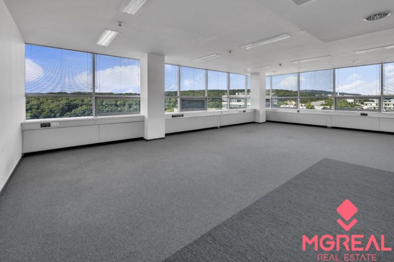 Spacious offices with carpeted floors and large windows offering views of nature.
