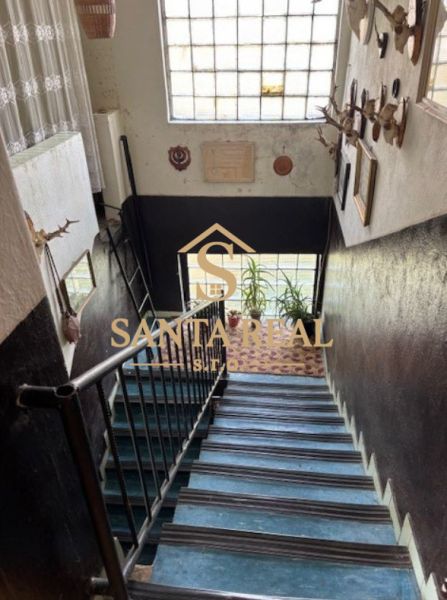 The staircase of a family house with decorations on the walls and plants by the window.