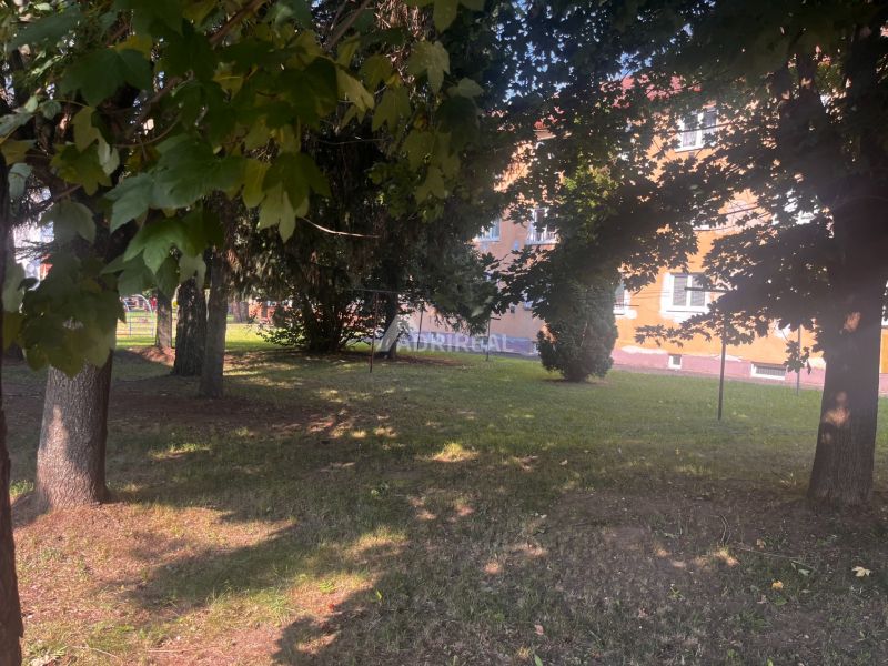 Trees and lawn near the building in the town of Kežmarok on Gen. Štefánika.