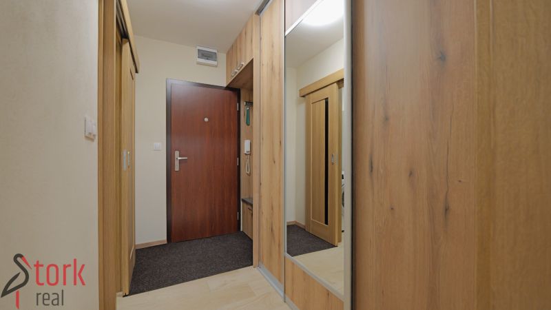 A hallway with doors and a wardrobe in a studio apartment, a floor with a wood decor, a mirror.