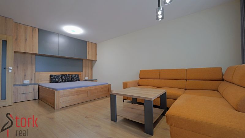1-bedroom apartment with a sofa, bed, and wooden decor flooring.