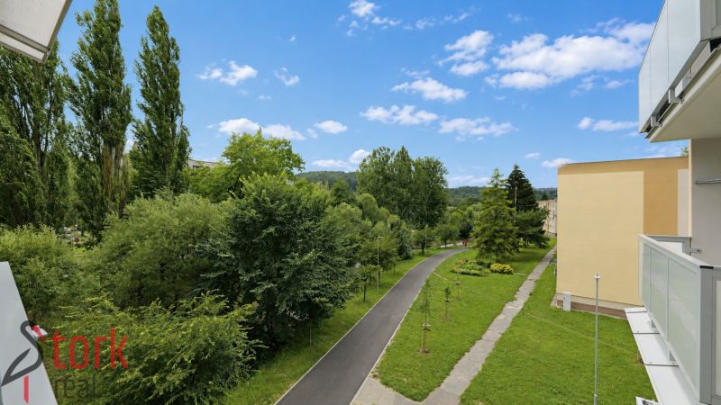 Greenery and sidewalk near the buildings on SNP in Považská Bystrica, leading to a 1-bedroom apartment.
