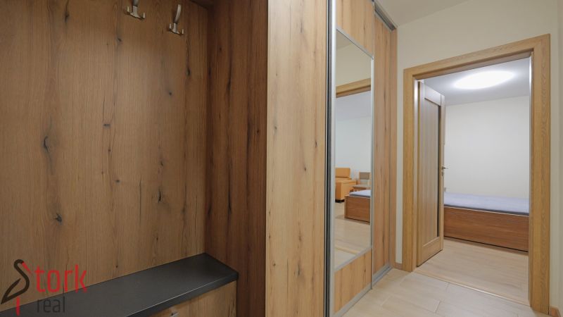 Entrance hall with coat racks and a mirror in a studio apartment with a wooden decor floor.