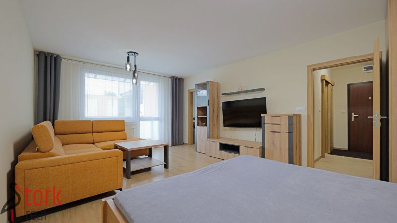 Living room in a studio apartment with a wood-patterned floor and an orange sofa.