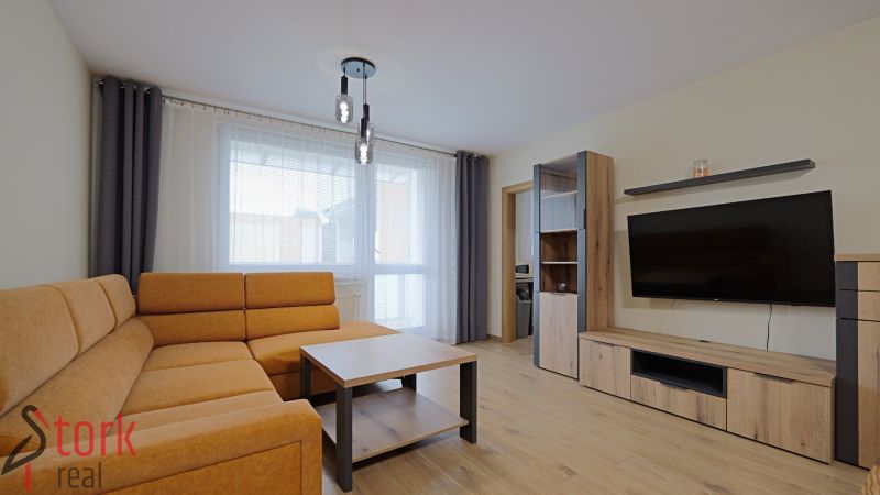 Living room in a studio apartment with a sofa, TV, and wood-patterned flooring.