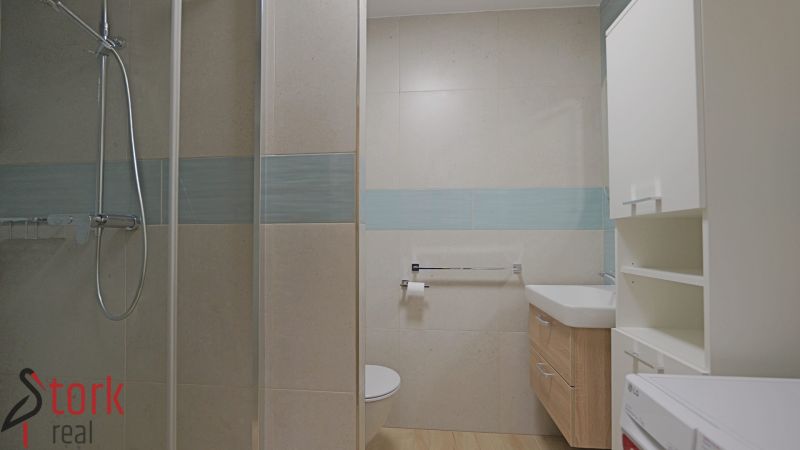 Bathroom with toilet and shower, 1-room apartment, floor with wood decor.