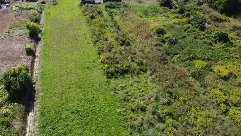 Greenery and shrubs on a plot in Bátorove Kosihy designated for residential use.