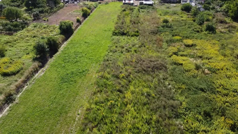 Meadows and vegetation around Bátorové Kosihy, suitable for plots - housing.