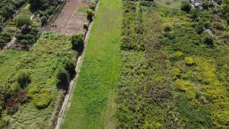 Residential plots in Bátorové Kosihy with lush vegetation and extensive green areas.