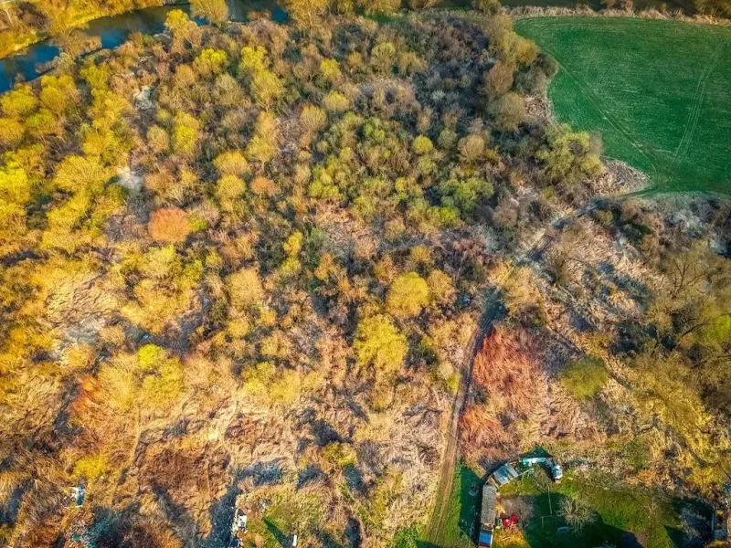 Aerial view of wooded residential land in Muli.
