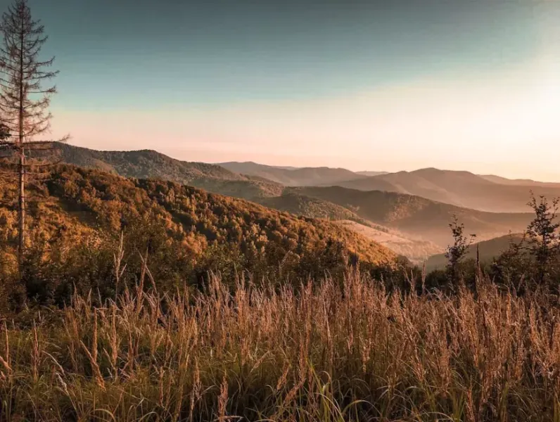 Autumn landscape of agricultural and forest lands in Dohňany, golden hills and grass.