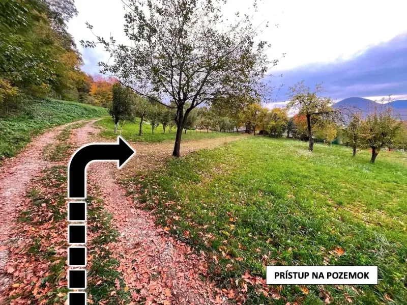Gardens in Bystrom with an access road, trees in autumn, and a mountain background.
